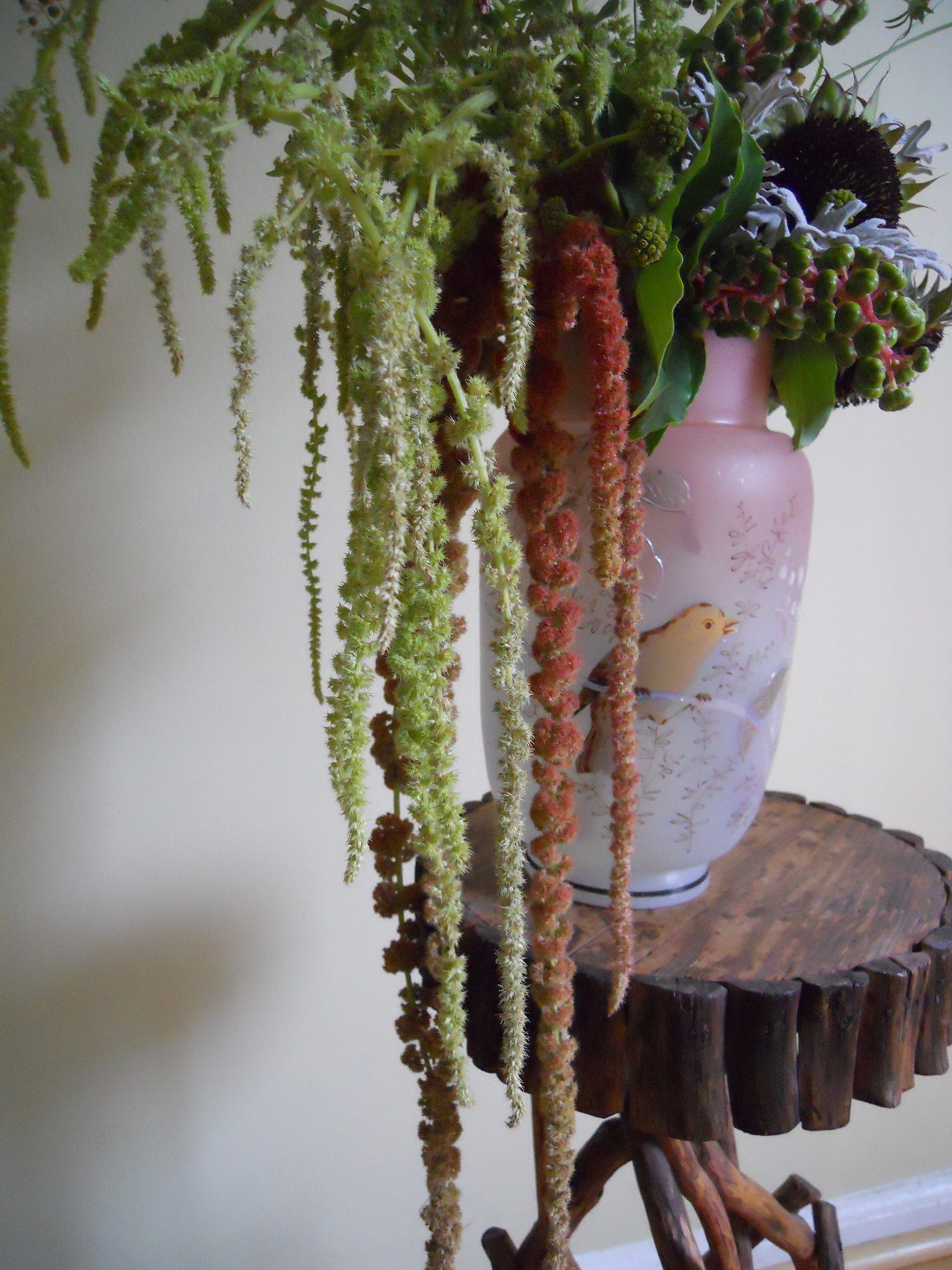 Hanging Amaranthus1